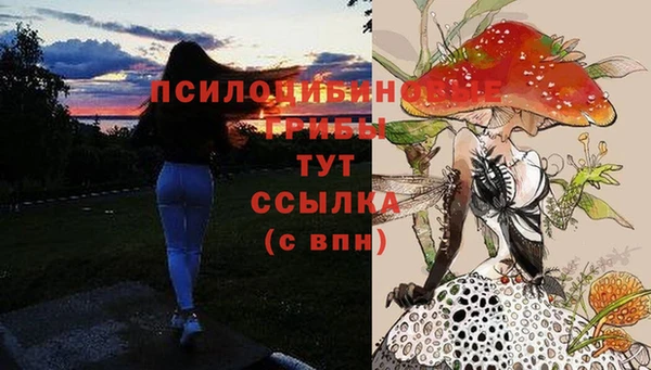 кокаин колумбия Каменка