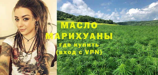 соль ск Каменногорск